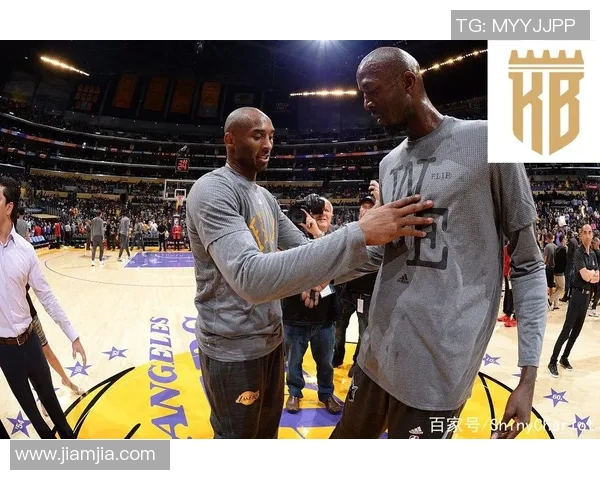 如何评定体育明星的排名第一标准与方法探讨