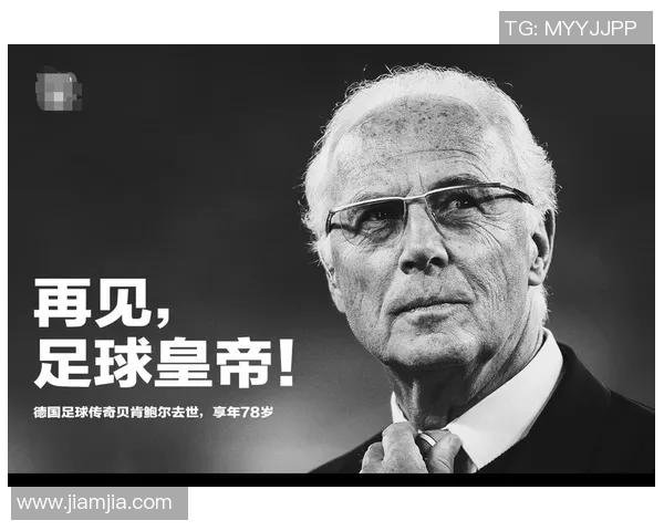 再见荷兰足球明星的传奇与影响力探讨