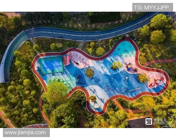 中国体育项目的种类及其多样性探讨与发展现状分析