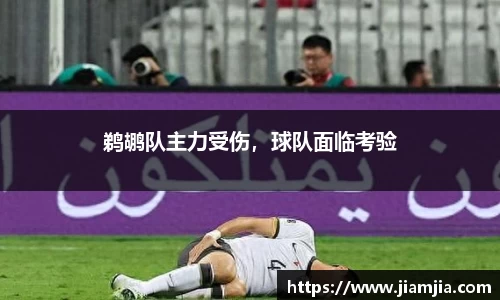 贝博官方网站