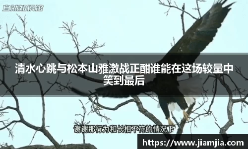 BB贝博体育官网
