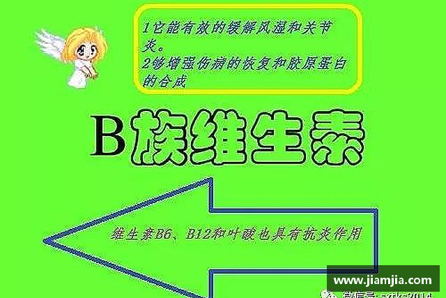 介绍贝博BB